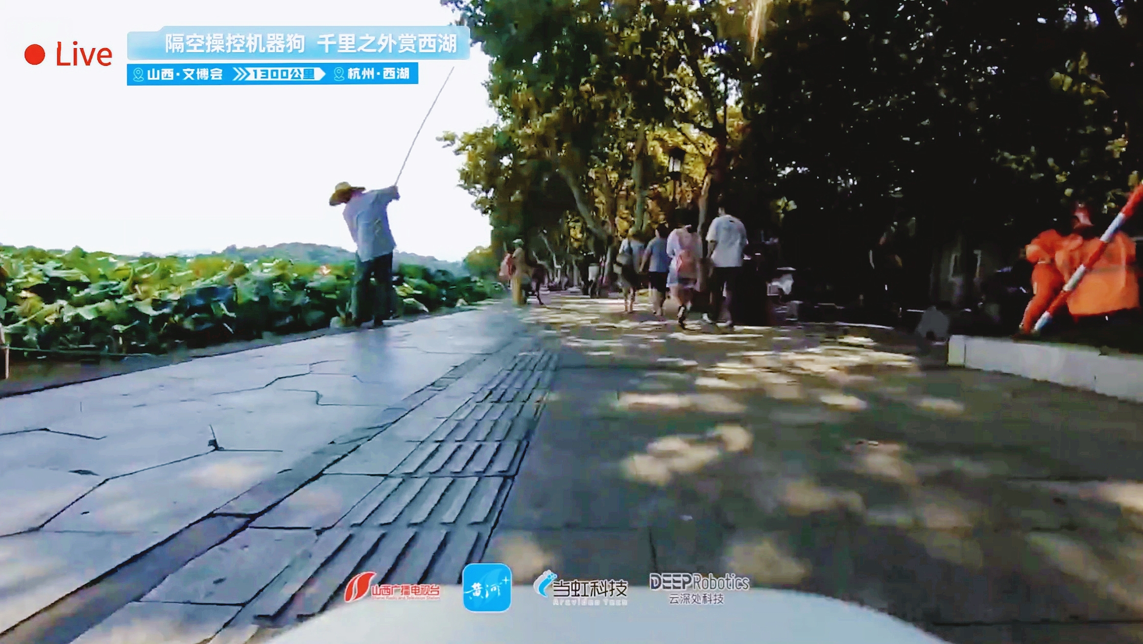 业界首次！跨越1300公里，山西台x伟德国际1946x云深处，远程操控机器人直播震撼成功