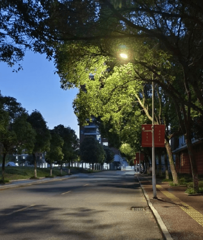 学校医院-伟德国际1946