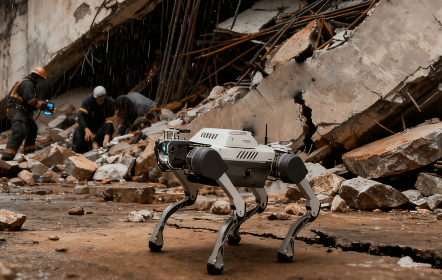 灾后救援-伟德国际1946